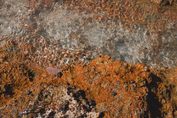 rusty metal texture