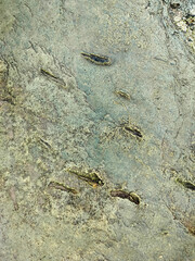 Textured stone background with rough rock wall surface, abstract natural grunge detail of stone material
