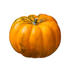 orange pumpkin isolated on transparent background