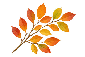 Branch with colorful autumn leaves isolated on transparent background, perfect for fall-themed designs