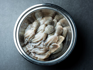 Fresh webfoot octopus, food ingredient