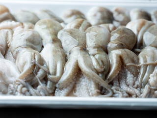 raw webfoot octopus in a container