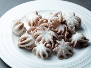 Boiled webfoot octopus on a plate