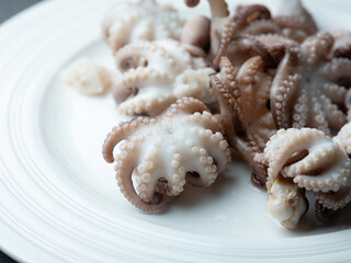Boiled webfoot octopus on a plate