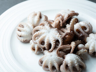 Boiled webfoot octopus on a plate