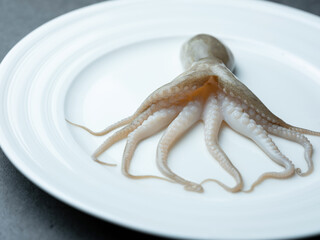 raw short arm octopus on a plate