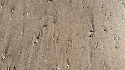 A close-up of a sandy beach scattered with small shells and pebbles. The surface showcases intricate patterns formed by the waves, highlighting texture and natural beauty