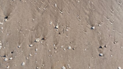 A sandy beach with intricate wave patterns formed by receding water. The foam and bubbles add texture and contrast to the smooth surface, creating a visually appealing coastal scene