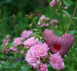 herz mit rosen garten