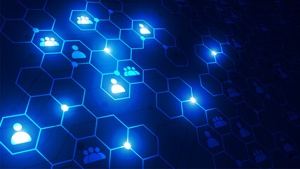 Networks and connectivity in the cyber age