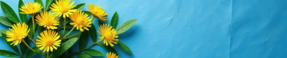 Yellow mimosa blossoms & green twigs on textured blue paper, white frame , mimosa, border