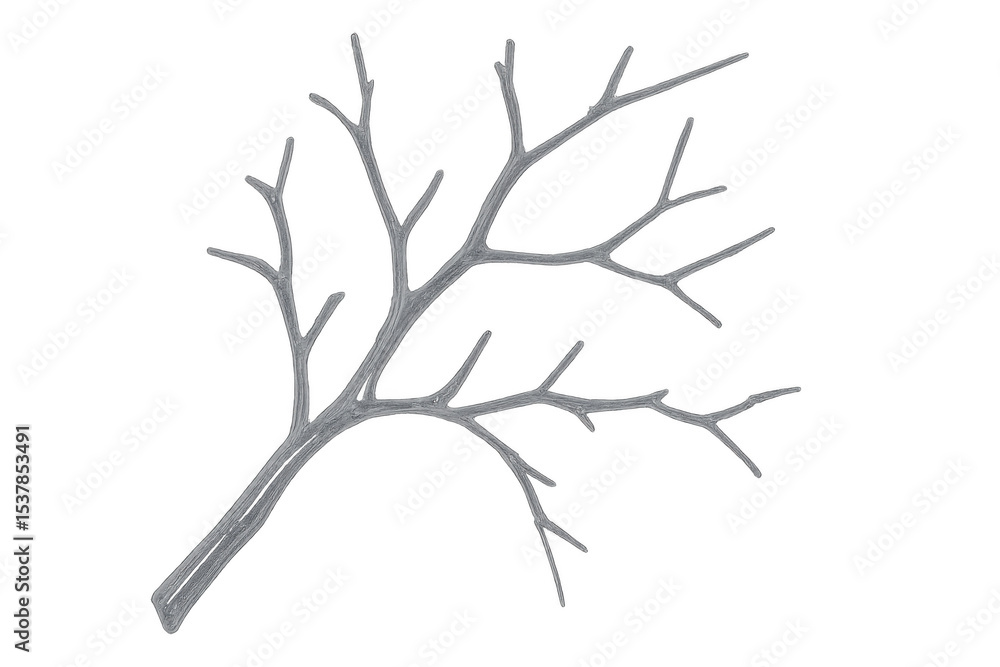 Poster single bare tree branch isolated on a transparent background, highlighting the complex structure of 