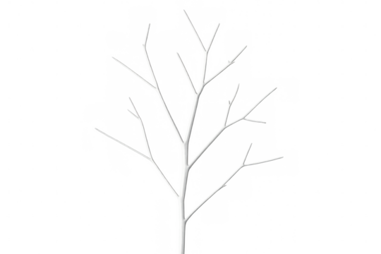 Bare white tree branches reaching skyward, silhouetted against transparent background, embodying minimalist natural design - Powered by Adobe