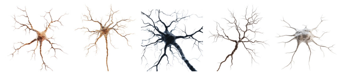 Intricate Neuron Structures with Varied Colors and Textures, isolated on transparent background