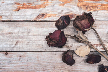 Two red roses that has withered and faded to a deep brown over time on an old wooden background.
