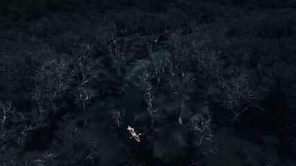 Travel Kayaking Paddling Transparent Canoe Kayak in peat swamp forest wetlands in mornine time,...