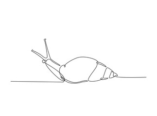 Snail in single outline illustration. Continuous line art drawing of garden snail. Editable stroke.