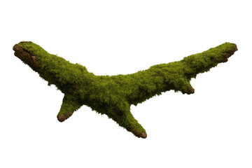Naklejka premium Photorealistic mossy branch isolated on transparent background, perfect for photo manipulations and creative projects