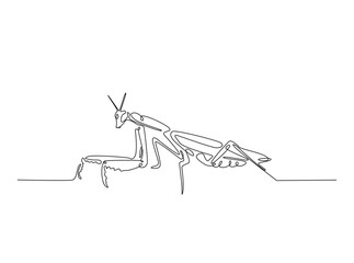 Praying mantis in single outline illustration. Continuous line art drawing of mantis. Editable stroke.