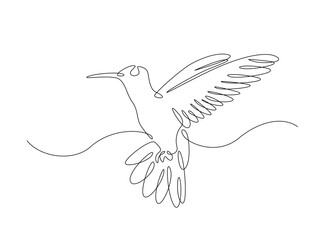 Hummingbird fly in single outline illustration. Continuous line art drawing of hummingbird or colobri. Editable stroke.