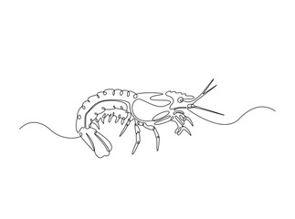 Sea shrimp in single outline illustration. Continuous line art drawing of shrimp. Editable stroke.