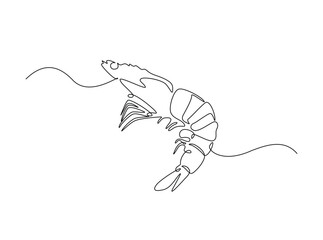 Sea shrimp in single outline illustration. Continuous line art drawing of shrimp. Editable stroke.