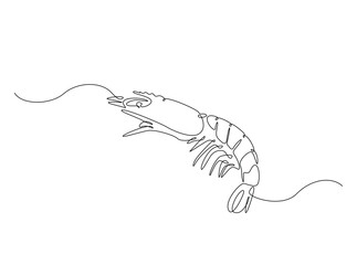 Sea shrimp in single outline illustration. Continuous line art drawing of shrimp. Editable stroke.