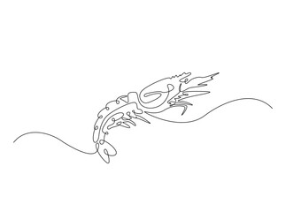 Sea shrimp in single outline illustration. Continuous line art drawing of shrimp. Editable stroke.