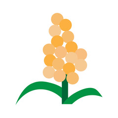 Sorghum Vector Flat Icon Design