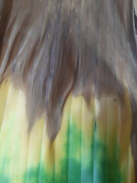 Dry Bananana leaves