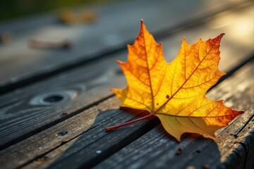 Sunlit yellow autumn leaf against weathered grey wood , october, november, element