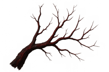 Photorealistic 3d rendering of a red bare tree branch extending into the frame, set against a transparent background