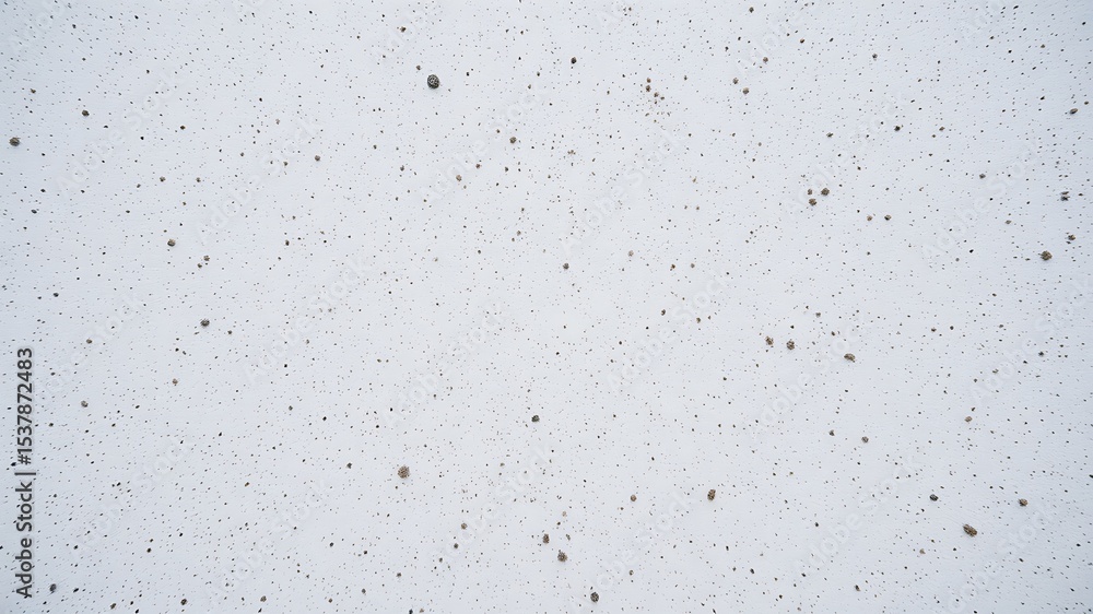 Poster detailed textured surface with randomly placed dark spots and gritty surface appearance.