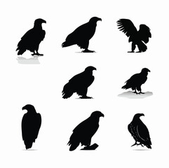 Obraz premium bald eagle silhouette set, Black & White silhouette set 