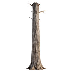 Old dead tree trunk without leaves. A forest snag. Concept of decay, death, and the natural life cycle. Isolated on white background.
