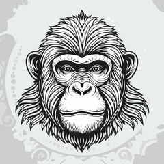 Fototapeta premium Orangutan line drawing featuring smooth sketch-style strokes in a refined black and white vector design.