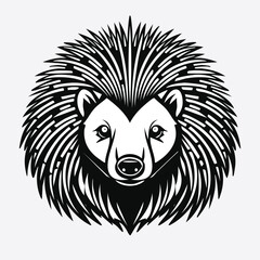 Porcupine line drawing featuring smooth sketch-style strokes in a refined black and white vector design.