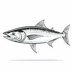 Fototapeta premium Barracuda line drawing featuring smooth sketch-style strokes in a refined black and white vector design.