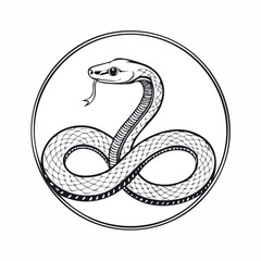 Fototapeta premium Milk Snake line drawing featuring smooth sketch-style strokes in a refined black and white vector design.