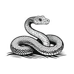 Fototapeta premium Sidewinder Rattlesnake line drawing featuring smooth sketch-style strokes in a refined black and white vector design.