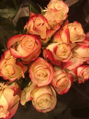 bouquet of orange roses