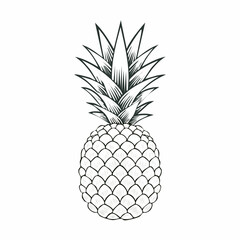 Fototapeta premium Pineapple line drawing featuring smooth sketch-style strokes in a refined black and white vector design.