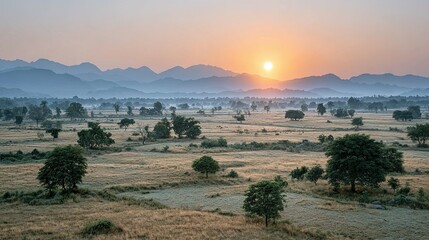Fototapeta premium Sunrise over a vast, grassy plain with scattered trees and mountains in the distance.