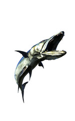 3d Illustration of A swift, silver barracuda glides through deep waters, eyes locked, ready to strike with deadly precision.