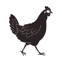 Fototapeta premium hen and rooster