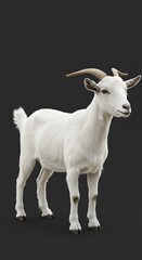 Obraz premium Majestic White Goat A Stunning Portrait of a Domestic Goat