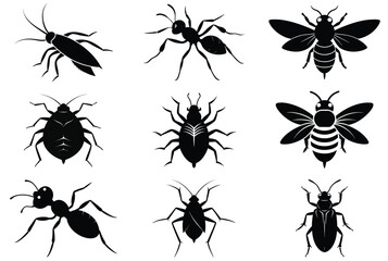 Collection of black insect silhouettes on white