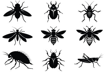 Collection of black insect silhouettes on white