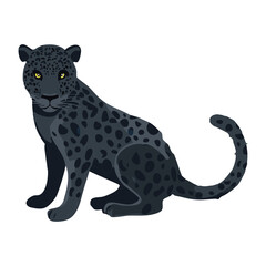 Sleek Black Panther Majestic Wild Cat