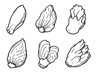 Sketch Style Chicken Wings Line Set